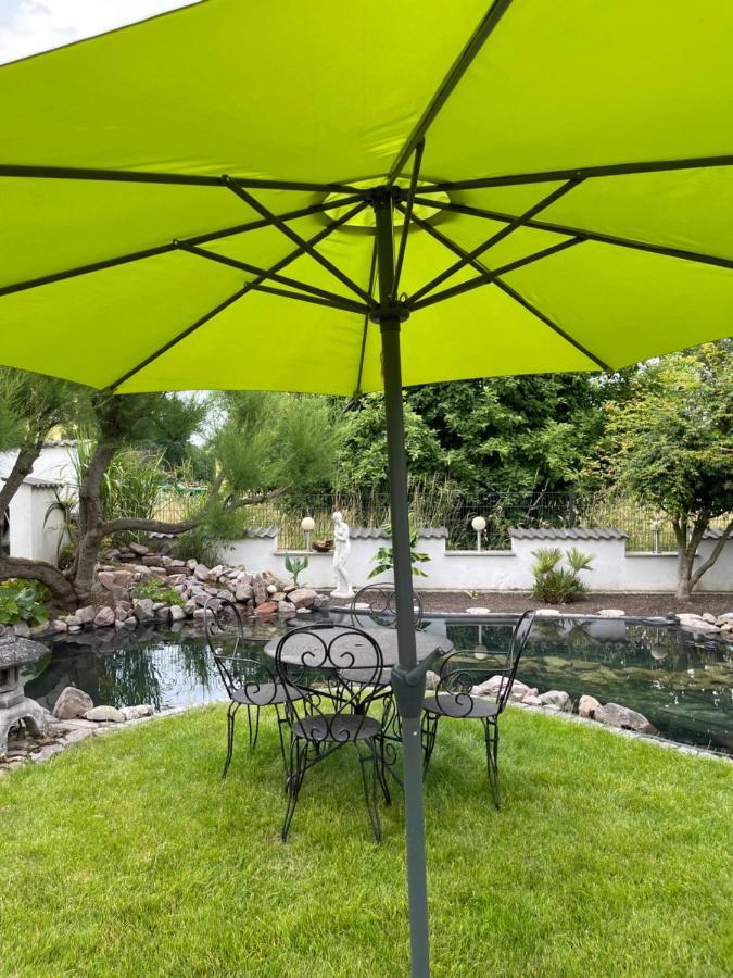 Ferienwohnung Am Pferdemarkt Конц Екстериор снимка